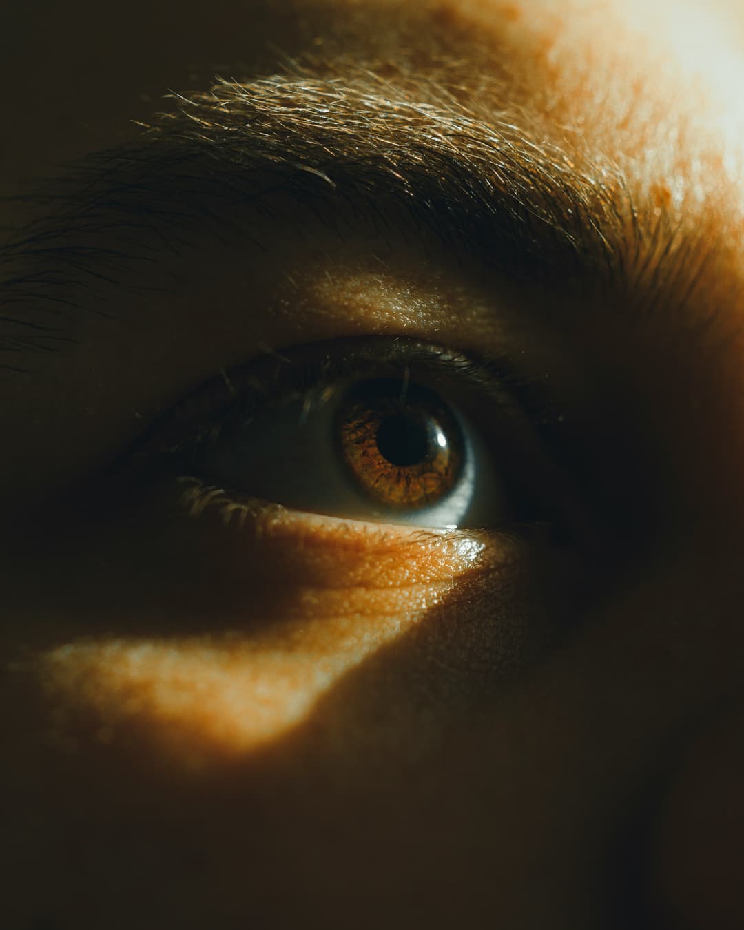 eye image